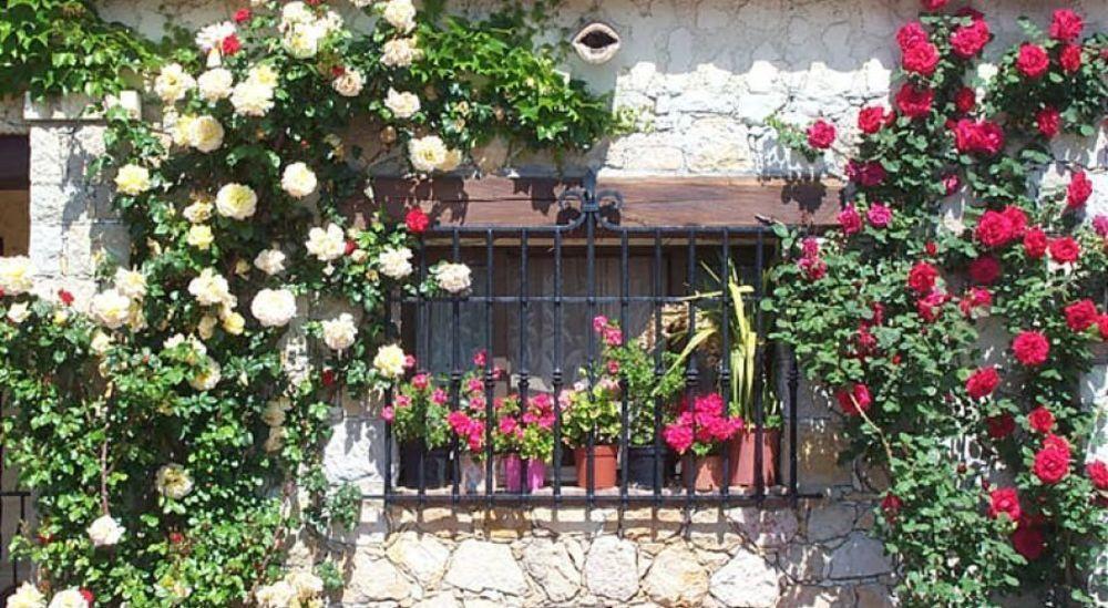 Castel Garoupe Hotell Antibes Eksteriør bilde